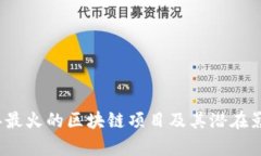 2023年最火的区块链项目及其潜在影响分析