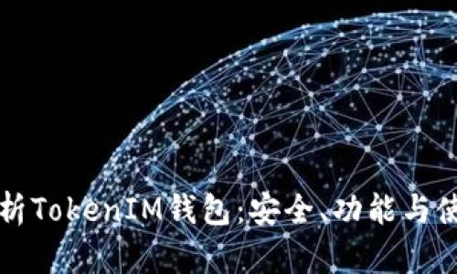 深入解析TokenIM钱包：安全、功能与使用指南