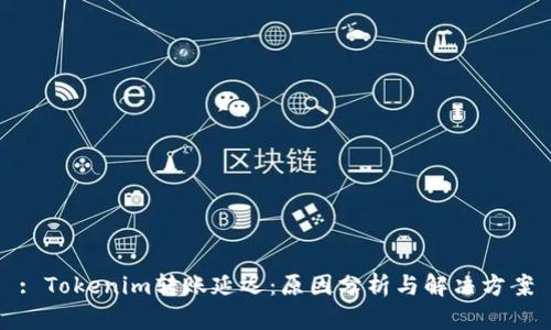 : Tokenim转账延迟：原因分析与解决方案