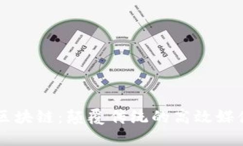 光速区块链：颠覆传统的高效媒体平台