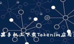 如何在苹果手机上下载Tokenim应用：全面指南