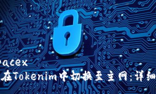  espacex 
如何在Tokenim中切换至主网：详细指南