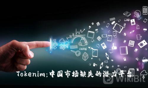 Tokenim：中国市场缺失的潜力平台