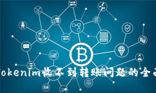 解决Tokenim收不到转账问题的全面指南