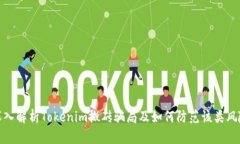 深入解析Tokenim搬砖骗局及如何防范该类风险