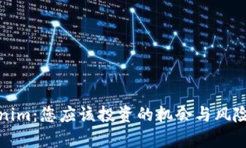 Tokenim：您应该投资的机会与风险分析