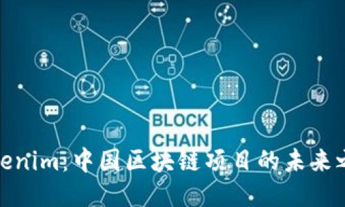 Tokenim：中国区块链项目的未来之路