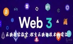 区块链实验室：探索区块链技术的前沿