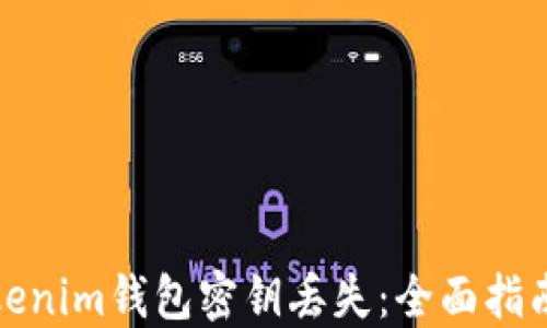 
如何处理Tokenim钱包密钥丢失：全面指南与解决方案