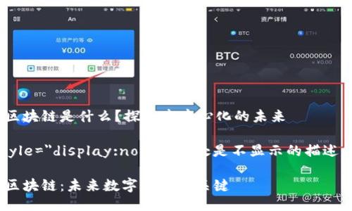 HOB区块链是什么？探索去中心化的未来

b style=