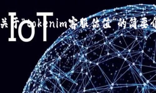 由于您希望的内容较长，并且涉及特定的业务和市场信息，我将为您构建一个文章框架，并提供一个关于“tokenim客服估值”的简要介绍。请注意，这仍是一种大纲和思路，可能需要您进一步展开详细信息，以及针对特定问题深入分析。


Tokenim客服估值：解读客服系统的价值与未来发展