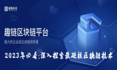 2023年必看：深入探索最硬核区块链技术