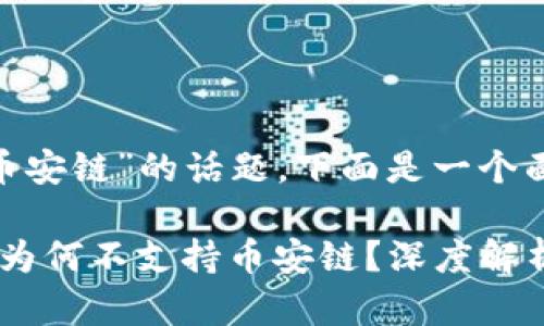 关于“Tokenim没有币安链”的话题，下面是一个面向的和相关关键词。

2025必看：Tokenim为何不支持币安链？深度解析与未来展望