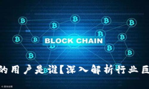 2025必看：区块链最大的用户是谁？深入解析行业巨头的影响力和未来趋势