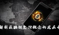 2025必看：深入解析区块链支付概念的龙头币，现