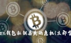 2025必看：如何处理imToken钱包私钥丢失的危机！立