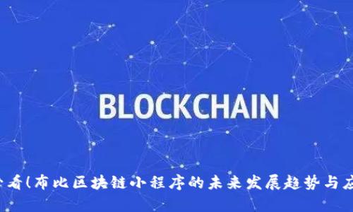 2025必看！布比区块链小程序的未来发展趋势与应用分析
