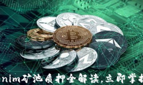 
2025必看：Tokenim矿池质押全解读，立即掌握最新投资机遇！
