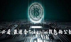 2025必看：最适合Tokenim钱包的公链推荐
