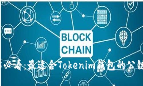 2025必看：最适合Tokenim钱包的公链推荐