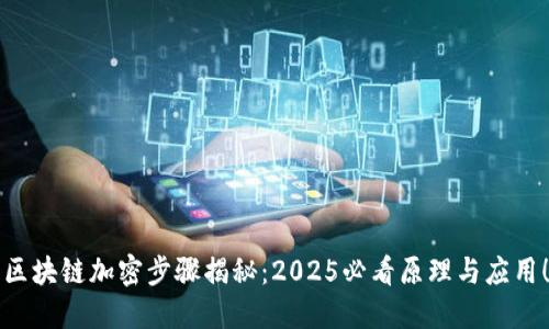 区块链加密步骤揭秘：2025必看原理与应用！