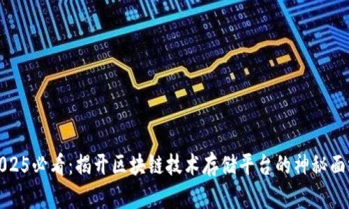 2025必看：揭开区块链技术存储平台的神秘面纱