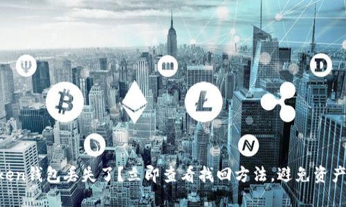 imToken钱包丢失了？立即查看找回方法，避免资产损失！