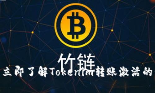 2025必看：立即了解Tokenim转账激活的步骤与技巧