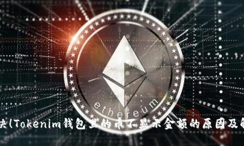 立即解决！Tokenim钱包里的币不显示金额的原因及解决方法