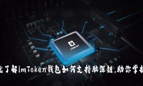 2025必看！现在就了解imToken钱包如何支持脑深链，助你掌握数字资产新机遇