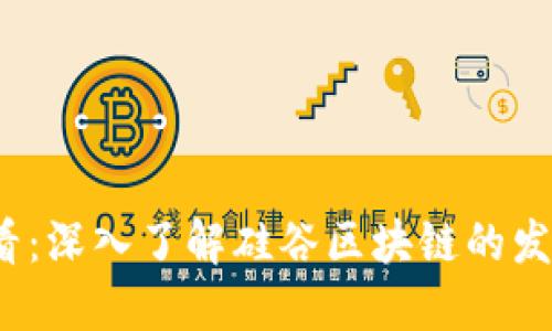 2025必看：深入了解硅谷区块链的发展与未来