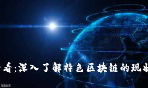 2025必看：深入了解特色区块链的现状与未来