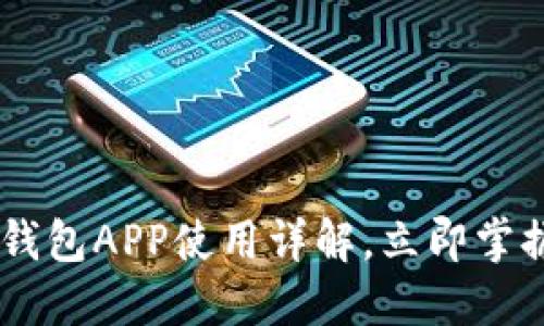 2025必看：imToken钱包APP使用详解，立即掌握数字资产管理技巧！