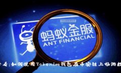 2025必看：如何使用Tokenim钱包在币安链上畅游数字