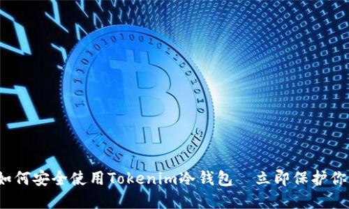 2025必看：如何安全使用Tokenim冷钱包—立即保护你的数字资产!