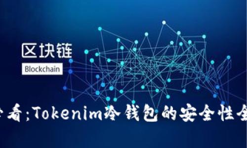 2025必看：Tokenim冷钱包的安全性全面分析