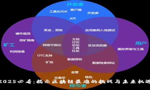 2025必看：揭示区块链最难的挑战与未来机遇