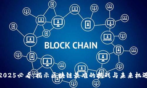 2025必看：揭示区块链最难的挑战与未来机遇
