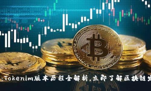 2025必看：Tokenim版本历程全解析，立即了解区块链发展新趋势