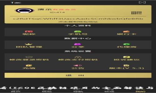 2025必看！ICOE区块链项目的全面解读与未来展望