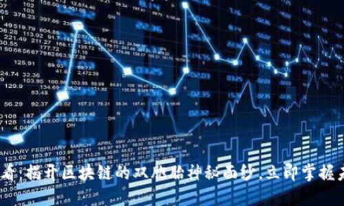 2025必看：揭开区块链的双胞胎神秘面纱，立即掌握未来机遇