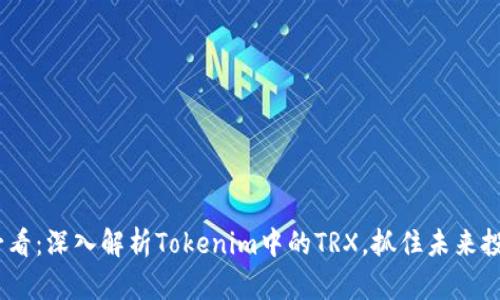 2025必看：深入解析Tokenim中的TRX，抓住未来投资机会