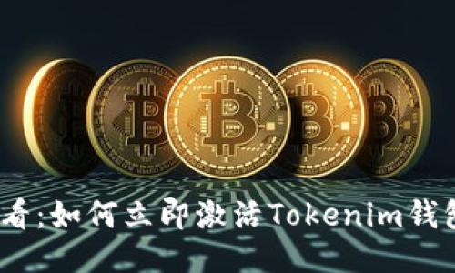 2025必看：如何立即激活Tokenim钱包的空投