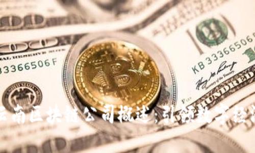 ### 云南区块链公司概述：引领数字经济新时代