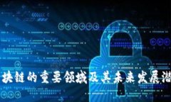 区块链的重要领域及其未来发展潜力