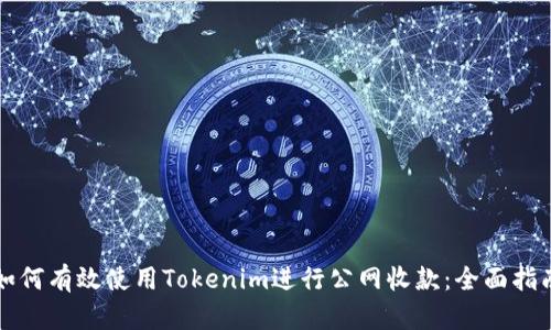 如何有效使用Tokenim进行公网收款：全面指南