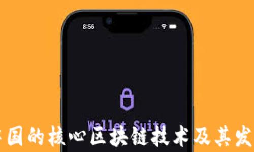 
未来中国的核心区块链技术及其发展前景