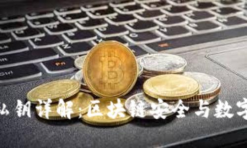 ### TokenIM私钥详解：区块链安全与数字资产保护的关键