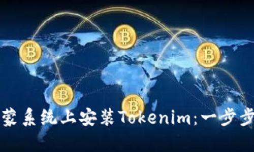 如何在鸿蒙系统上安装Tokenim：一步步详细指南