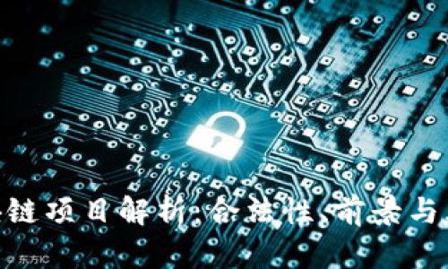 ADS区块链项目解析：合法性、前景与风险分析